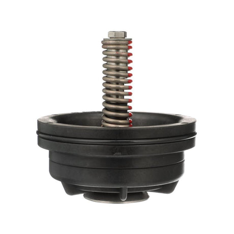 Zurn Wilkins RK212-375CK1
