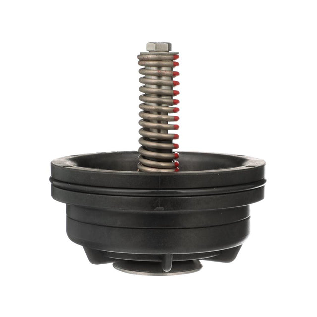 Zurn Wilkins RK212-375CK1