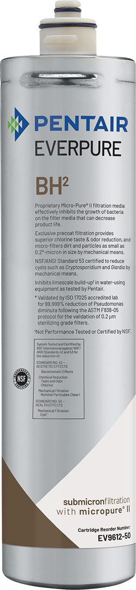 Everpure EV961251