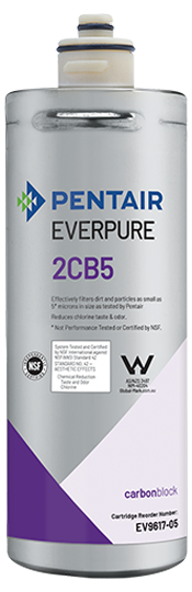 Everpure EV961705