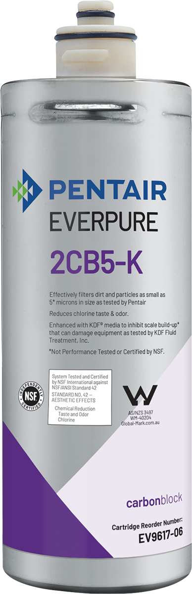 Everpure EV961706