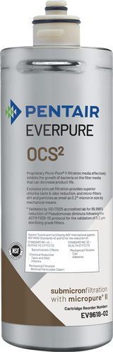 Everpure EV961807