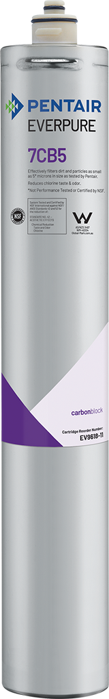Everpure EV961816