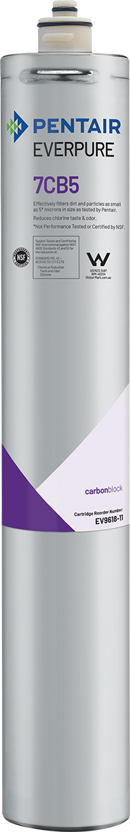 Everpure EV961816