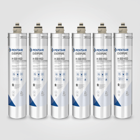 Everpure EV927074 | H - 300 - HSD Replacement Cartridges | 300 gal (6 Pack) - BottleFillingStations.com