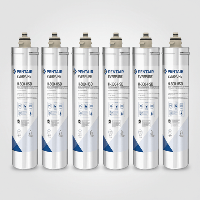 Everpure EV927074 | H - 300 - HSD Replacement Cartridges | 300 gal (6 Pack) - BottleFillingStations.com