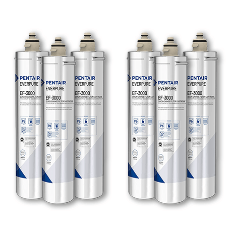 Everpure EV985756 | EF - 3000 Replacement Cartridges | 3,000 gal (6 Pack) - BottleFillingStations.com