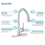 Elkay LKGT4083