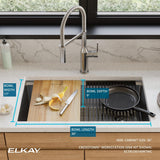 Elkay ECTRU30169RTWC