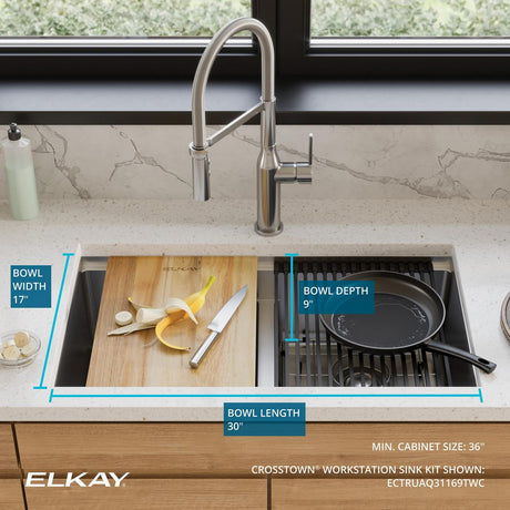 Elkay ECTRUAQ31169TWC