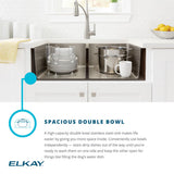 Elkay ECTRU31179TFMBC
