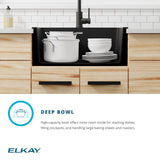 Elkay ELG2522BK0FLC