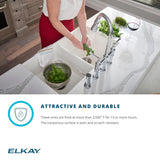 Elkay SWUF32189WHC