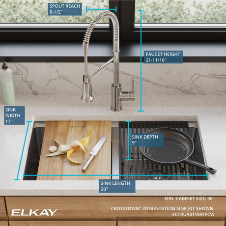 Elkay ECTRUA31169TFCW