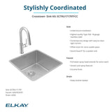 Elkay ECTRU17179TFCC