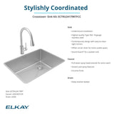 Elkay ECTRU24179RTFCC