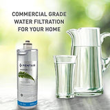 Pentair Everpure EV925267 | H-54 Drinking Water System, 750 Gal (1 Pack)