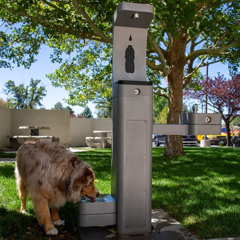Haws 3670 | Pet Fountain Dog Bowl Attachment | 100% Lead - Free - BottleFillingStations.com