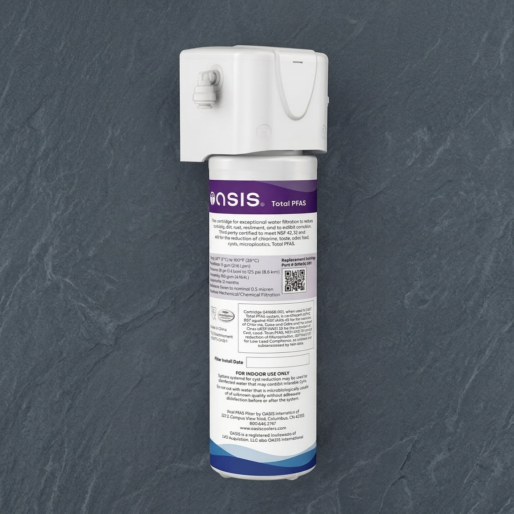 Oasis 041253-005