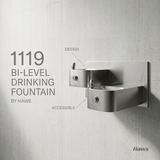 Haws 1119
