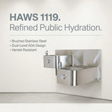 Haws 1119