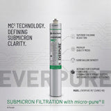 Everpure EV961256