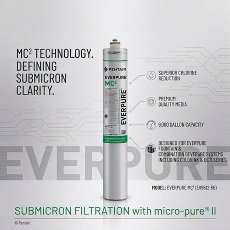Everpure EV961256