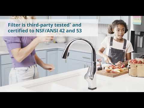 Elkay ERF750 | WaterSentry Plus Replacement Filter | For use with Built-in Water Dispenser (Liv Residential units)