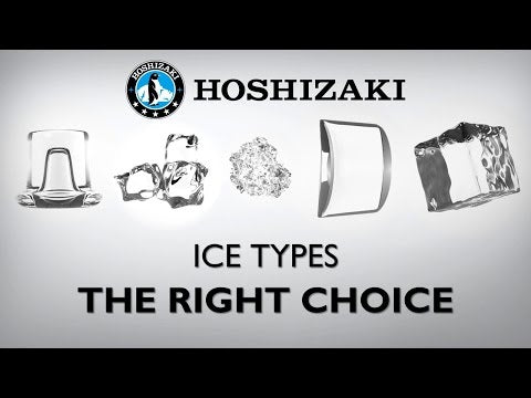 Hoshizaki ice type